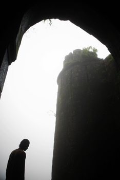 Paperback Medo, Frio e Escuridão 4: Efeito Mandela [Portuguese] Book