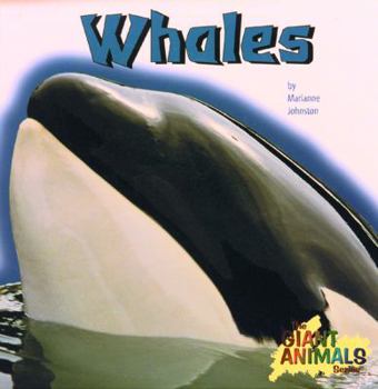 Hardcover Whales Book
