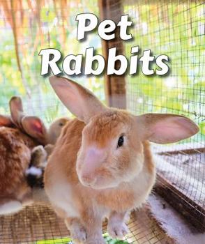 Pet Rabbits - Book  of the All About Pets