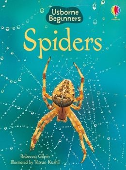 Spiders (Beginners) - Book  of the Beginners Series