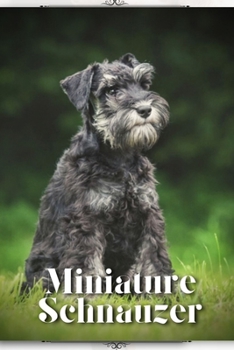 Paperback Miniature Schnauzer: Dog breed overview and guide Book