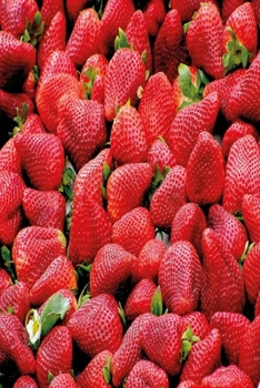 Simply Strawberry: Notebook with fresh strawberries and Journal with 120 lined pages 6x9 inches