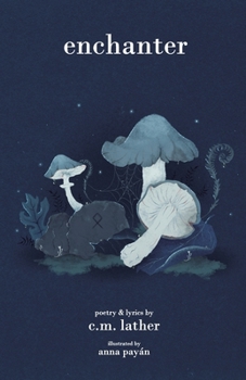 Paperback enchanter Book