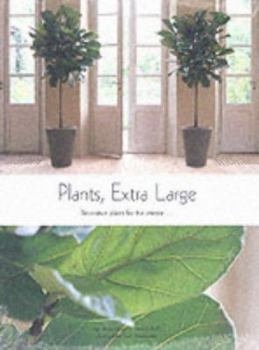Hardcover Plants, Extra Large: Decorative Plants for the Interior Book