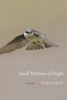 Paperback Small Mothers of Fright: Poems Book