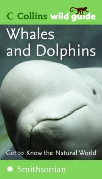 Paperback Whales and Dolphins (Collins Wild Guide) (Collins Wild Guides) Book