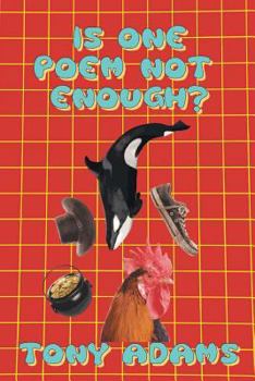Paperback Is One Poem Not Enough ? Book