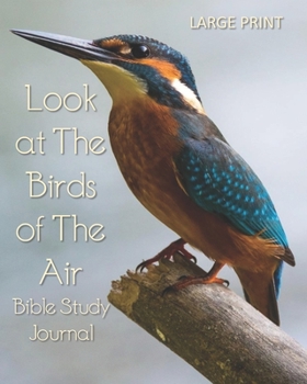 Look at The Birds of The Air 90-Day Bible Study Journal LARGE PRINT