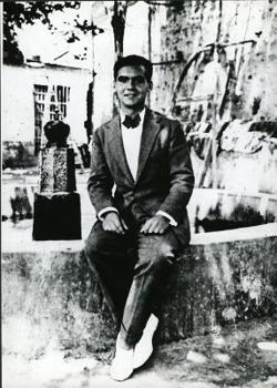 Paperback Sonnets of Dark Love Book