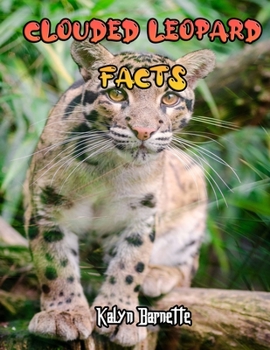 Paperback Clouded Leopard Facts: CLOUDED LEOPARD fact for girl age 1-10 CLOUDED LEOPARD fact for boy age 1-10 facts about all about CLOUDED LEOPARD Book