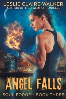 Paperback Angel Falls Book