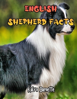 Paperback English Shepherd Facts: ENGLISH SHEPHERD fact for girl age 1-10 ENGLISH SHEPHERD fact for boy age 1-10 information English Shepherd Book