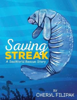 Paperback Saving Streak Book