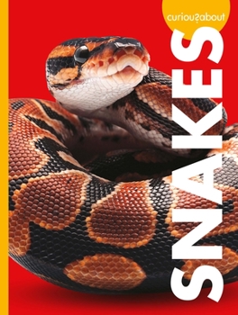 Library Binding Curious about Snakes Book