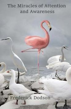 Paperback The Miracles of Attention and Awareness Book