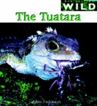Hardcover Tuatara Book