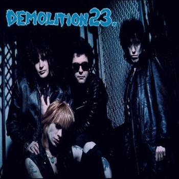 Vinyl Demolition 23 Book