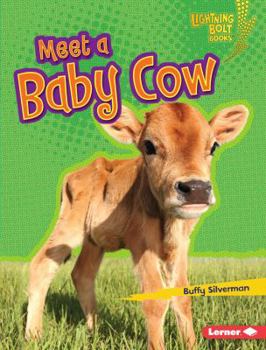 Library Binding Meet a Baby Cow Book