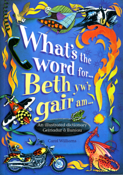 Paperback What's the Word For...? Book