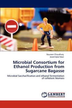 Paperback Microbial Consortium for Ethanol Production from Sugarcane Bagasse Book