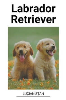 Paperback Labrador Retriever [Romanian] Book