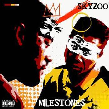 Vinyl Milestones Book