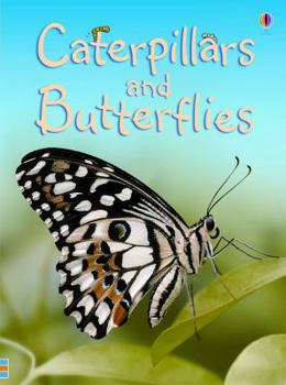 Hardcover Caterpillars and Butterflies Book