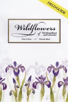 Paperback Wildflowers of Newfoundland and Labrador: Field Guide Book