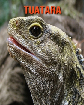 Paperback Tuatara: Amazing Facts about Tuatara Book