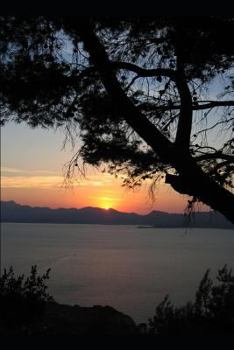 Paperback Shadows Fall Book