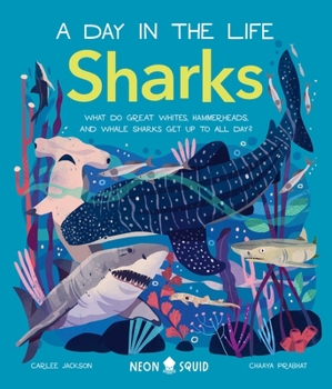 Hardcover Sharks (a Day in the Life): What Do Great Whites, Hammerheads, and Whale Sharks Get Up to All Day? Book