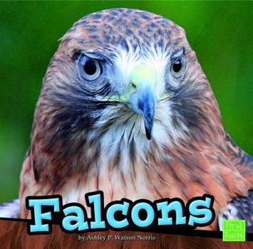 Falcons - Book  of the First Facts: Birds