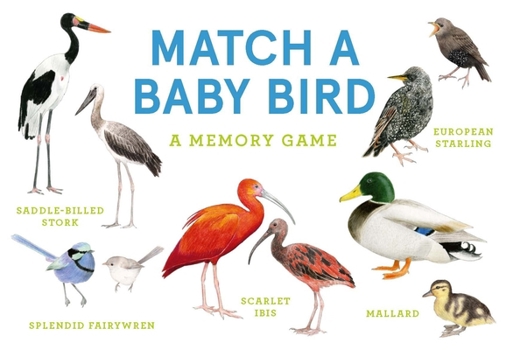 Bird Vision: Know your birds in 30 cards