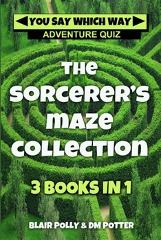 The Sorcerer's Maze Collection: Three Books in One - Book  of the Sorcerer's Maze