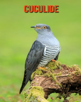 Cuculide: Foto stupende e fatti divertenti Libro sui Cuculide per bambini