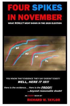 Paperback Four Spikes in November: What Really Went Down in the 2020 Election Book