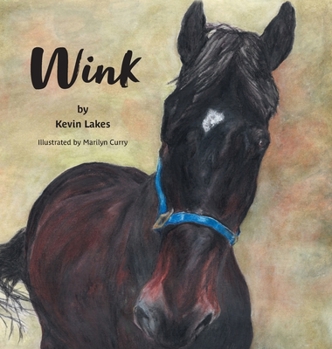 Hardcover Wink Book