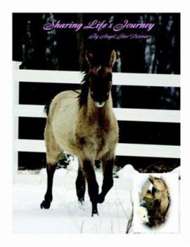 Paperback Sharing Life's Journey Book