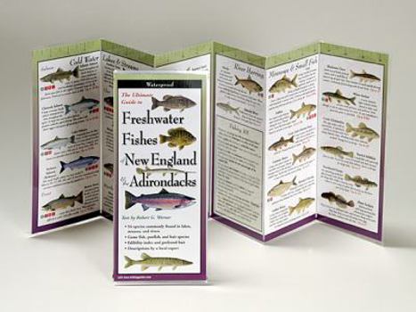 Paperback Freshwater Fishes of Northeast Book