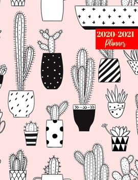 Paperback 2020-2021 Planner: Nice 24 Months Calendar, 2 Year Appointment Calendar, Business Planners, Agenda Schedule Organizer Logbook and Journal Book