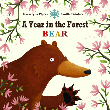 Board book A Year in the Forest with Bear Book