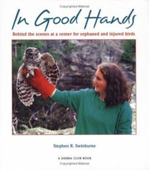 Hardcover In Good Hands: Behind the Scenes at a Center for Orphaned and Injured Birds Book