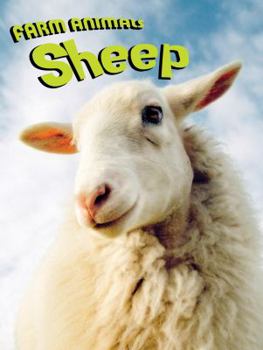 Library Binding Sheep Book