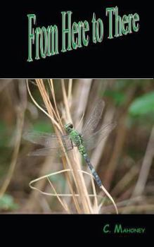 Paperback From Here to There Book