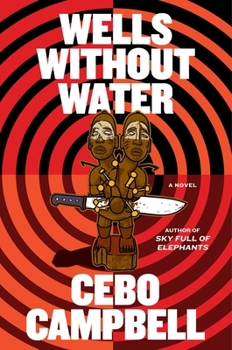 Hardcover Wells Without Water Book