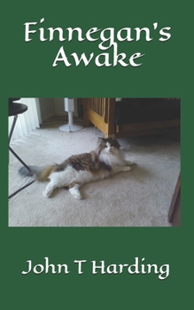 Paperback Finnegan's Awake Book