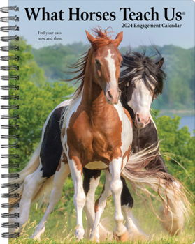Calendar What Horses Teach Us 2024 6.5 X 8.5 Engagement Calendar Book
