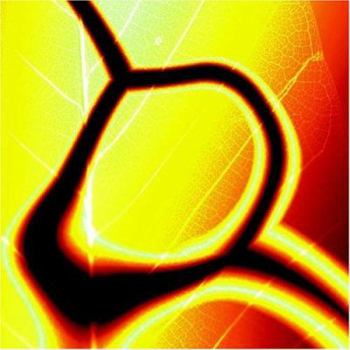 Paperback In Your Face Book