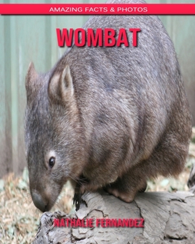 Wombat: Amazing Facts & Photos