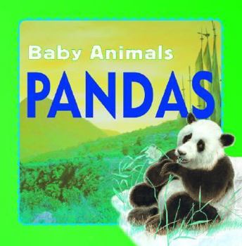 Hardcover Pandas (Baby Animals) Book